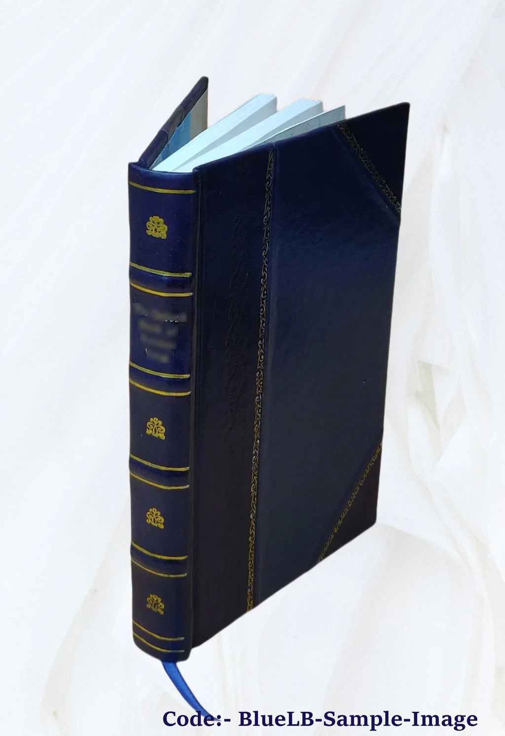 1916 [Leather Bound]. Hill. W. In the field (1914-1915) the impressions of an officer of light cavalry, by Marcel Dupont [pseud.] translated by H