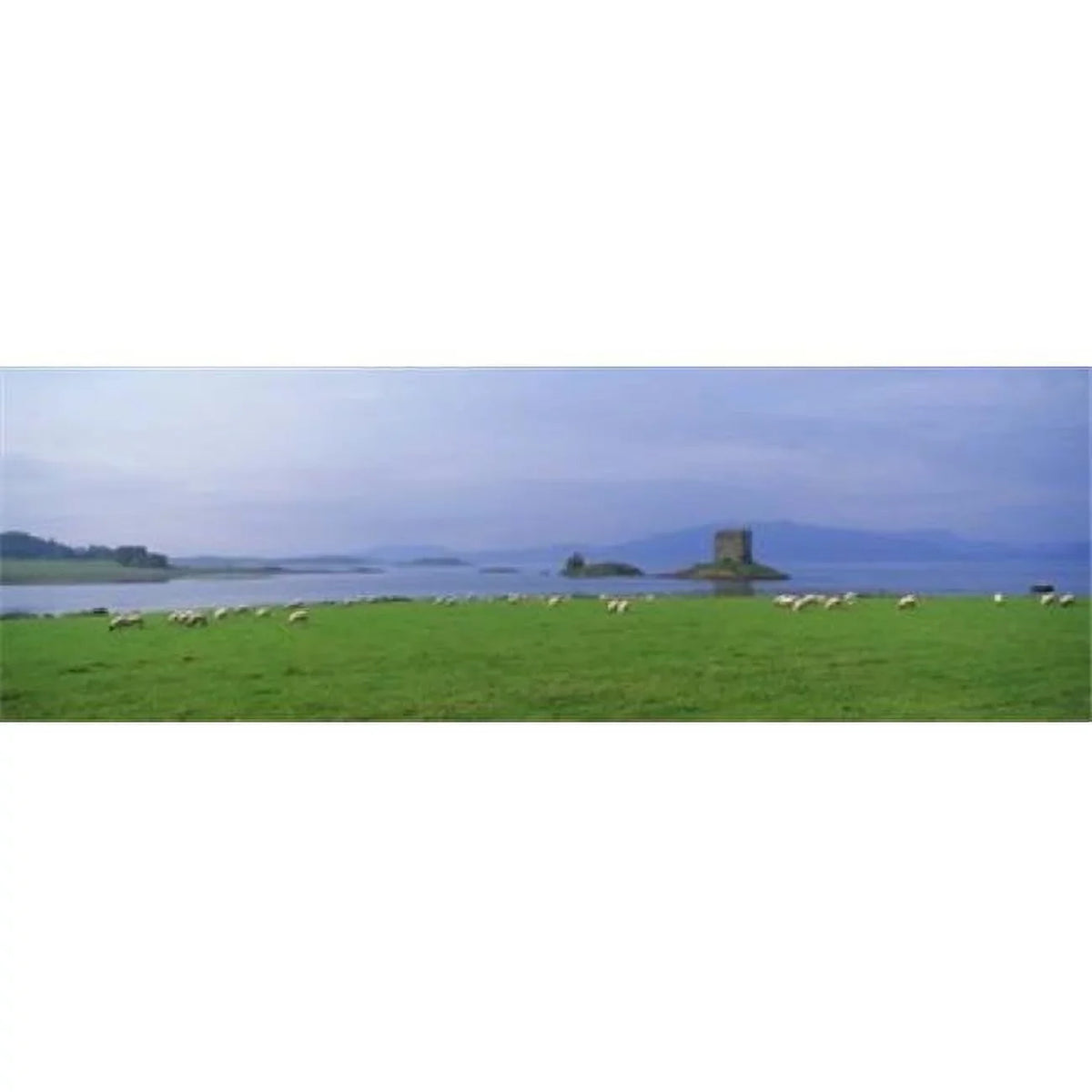 Castle on an island  Glencoe  Loch Linnh  Stalker Castle  Scotland Poster Print by  - 36 x 12