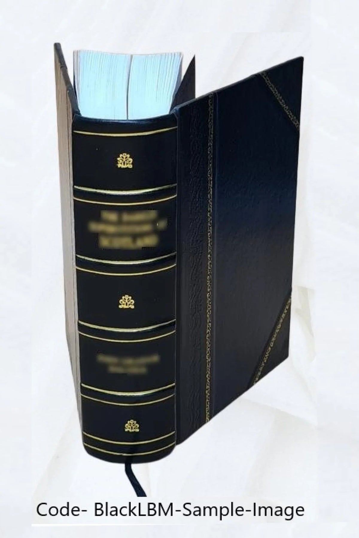 A biographical and critical dictionary of painters, engravers, sculptors, and architects, from ancient to modern times; with the monograms, ciphers, and marks used by distinguished
